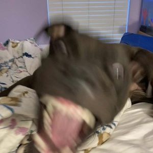 Meet your Posher, Khloe